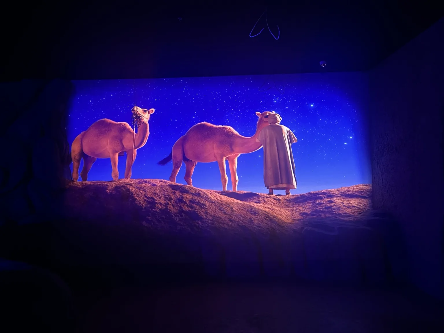 Scenic camels against a large-scale night-sky projection.