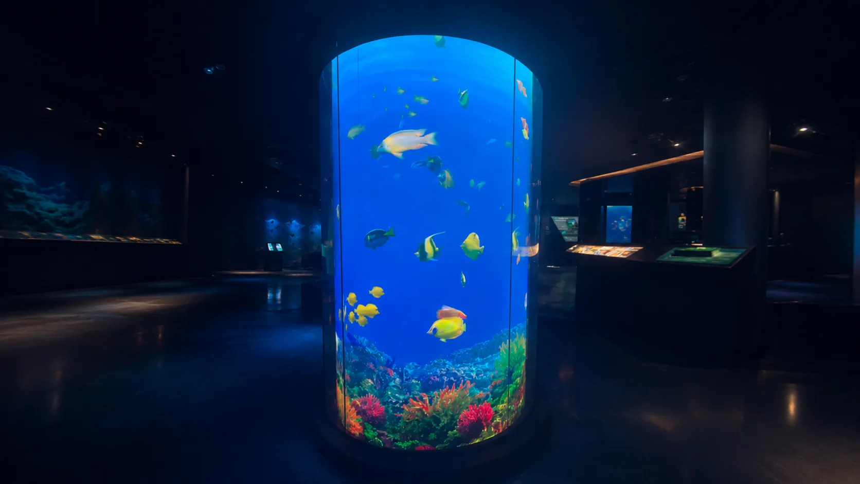 The cylindrical interactive digital aquarium.
